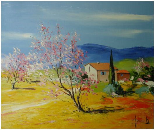 Le Mas aux amandiers - Farm with almond trees